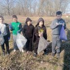 🌿 Благоустрій шкільної території 🌿